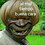HPR_Funny_Moments