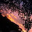 MUSIC_APP7